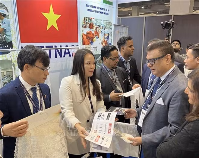 越南纺织品服装努力在印度市场寻找机遇 ảnh 1