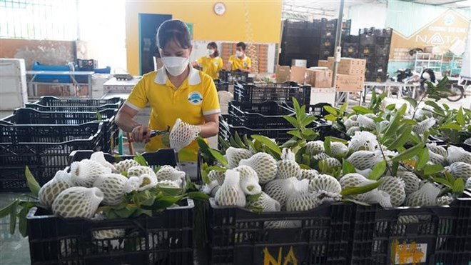 VMBIZ与MCCM的谅解备忘录为在马越南企以及两国企业之间开辟了许多潜在的合作机会 ảnh 1 VMBIZ与MCCM的谅解备忘录为在马越南企以及两国企业之间开辟了许多潜在的合作机会 ảnh 1