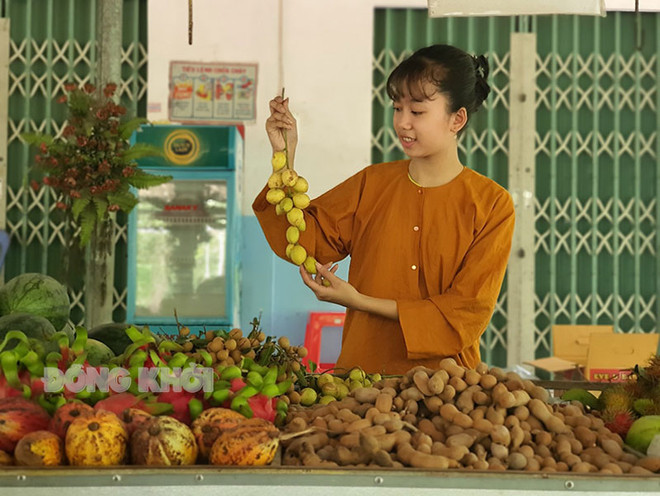 槟椥省发挥自然优势 推进农业旅游模式 ảnh 1