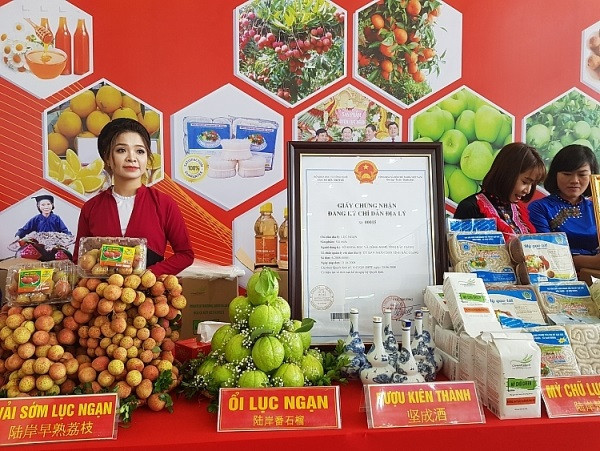 北江省着力打造农产品品牌并扩大销售市场 ảnh 2 北江省着力打造农产品品牌并扩大销售市场 ảnh 2