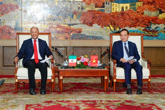 海防市委书记陈流光会见墨西哥劳动党主席阿尔韦托·安纳亚一行 ảnh 1 海防市委书记陈流光会见墨西哥劳动党主席阿尔韦托·安纳亚一行 ảnh 1