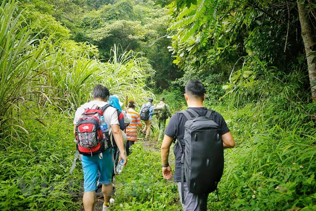 中国放开出境旅游团:越南旅游企业做好准备迎接中国游客 ảnh 2 中国放开出境旅游团:越南旅游企业做好准备迎接中国游客 ảnh 2