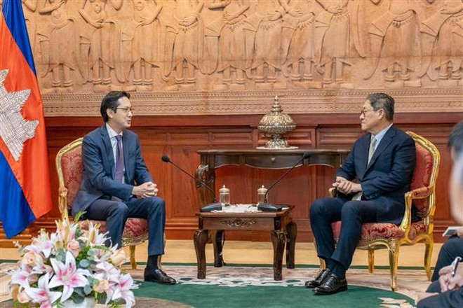 越南副外长杜雄越共同主持越柬外交部第八次政治磋商 ảnh 1 越南副外长杜雄越共同主持越柬外交部第八次政治磋商 ảnh 1