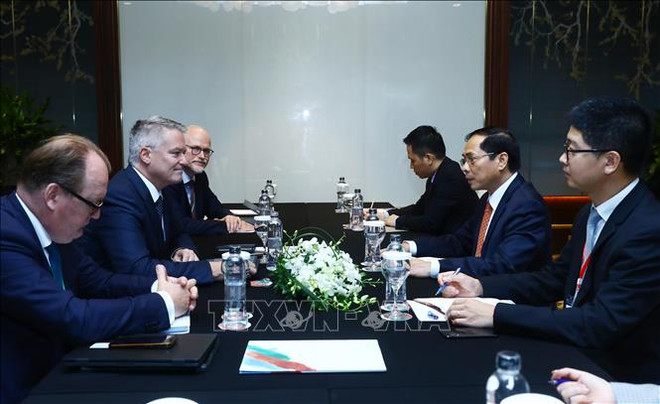 推进越南与经合组织的合作关系走向深入并取得实效 ảnh 1
