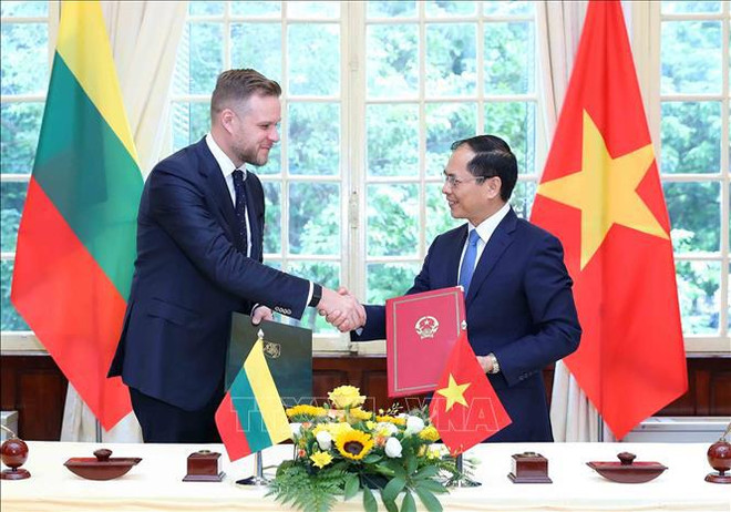 越南外交部长裴青山与立陶宛共和国外交部长举行会谈 ảnh 1 越南外交部长裴青山与立陶宛共和国外交部长举行会谈 ảnh 1