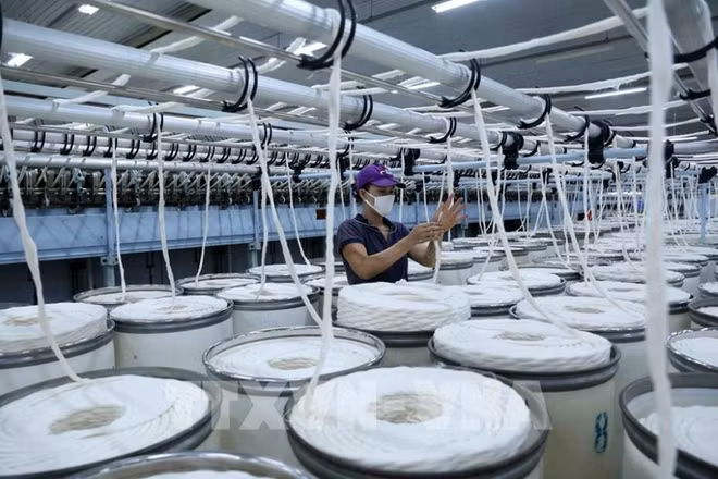 2022年越南缴纳企业所得税最多的1000家企业名单正式出炉 ảnh 1