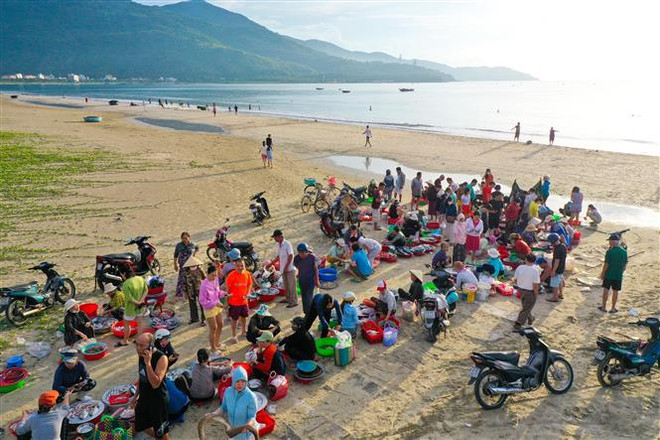 清晨去岘港海边鱼市赶集 ảnh 1