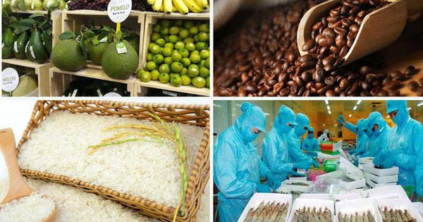 芒街国际农林水产品交易中心即将投入运营 ảnh 1 芒街国际农林水产品交易中心即将投入运营 ảnh 1