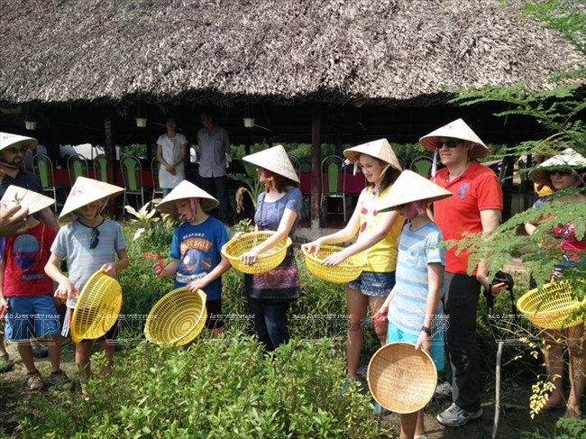 老外学当越南农民 ảnh 4