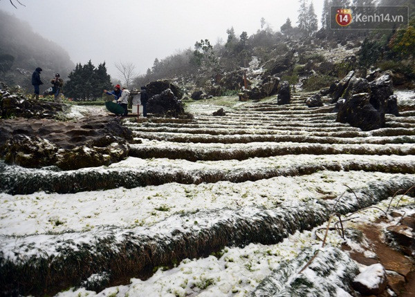 越南北部遭遇罕见低温寒冷天气多地首次下雪 ảnh 1 越南北部遭遇罕见低温寒冷天气多地首次下雪 ảnh 1