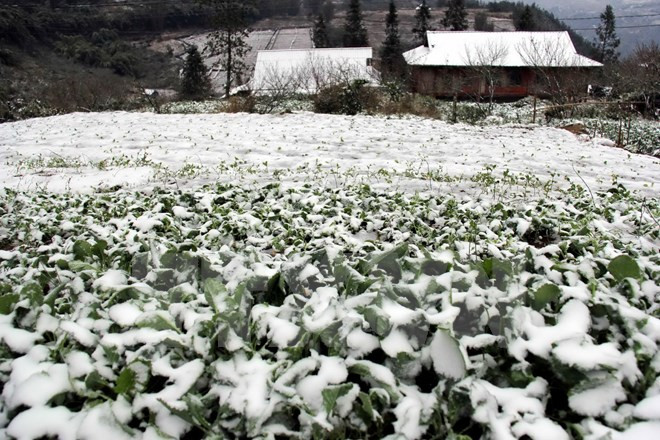 "温暖冬衣”短信捐款活动启动为山区贫困同胞送温暖 ảnh 1
