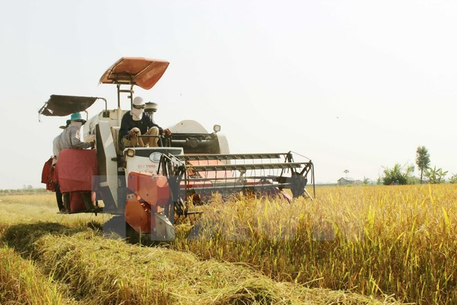 集中财力推进新农村建设 ảnh 1 集中财力推进新农村建设 ảnh 1