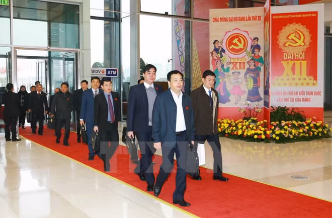 越共十二大：与会代表深入研究讨论第十二届中央委员会人选提名工作 ảnh 1