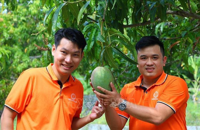 电商平台助力提升越南商品销售效率 ảnh 1 电商平台助力提升越南商品销售效率 ảnh 1