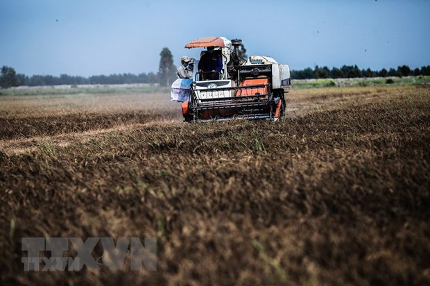 越南着力应对气候变化 ảnh 1