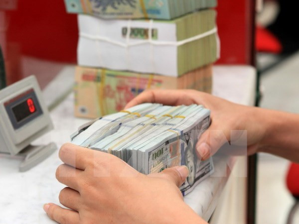 越南外汇市场已保持稳定 ảnh 1