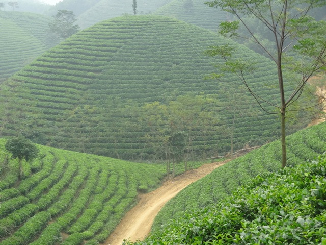 八月时光的新潮安全区 ảnh 3