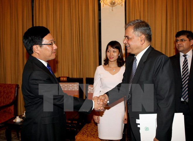 越南政府副总理兼外长会见巴基斯坦外交部副部长 ảnh 1 越南政府副总理兼外长会见巴基斯坦外交部副部长 ảnh 1