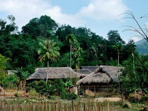 革命的发源地和根据地­—新潮 ảnh 1