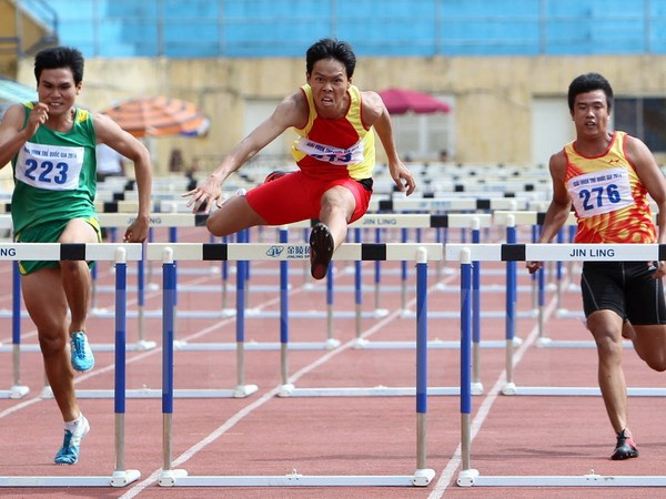 2015年国家青少年田径锦标赛：运动员们创造了8项国家新记录 ảnh 1