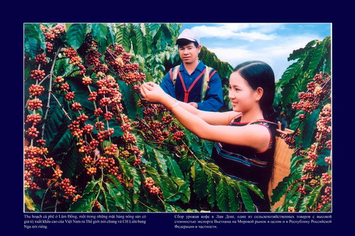 越南摄影展与电影周即将亮相俄罗斯 ảnh 2 越南摄影展与电影周即将亮相俄罗斯 ảnh 2