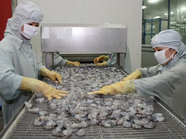 2015年越南虾类出口额可能仅达35亿美元左右 ảnh 1 2015年越南虾类出口额可能仅达35亿美元左右 ảnh 1