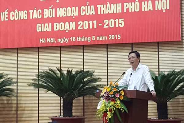 越南副外长胡春山：河内市对外工作在国家对外工作中扮演重要的角色 ảnh 1
