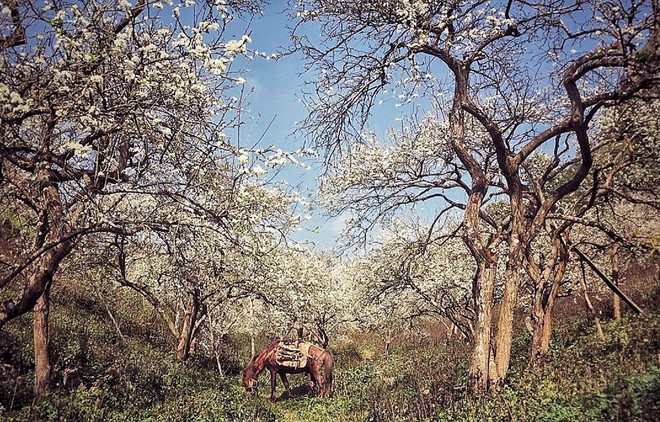 数字化转型——旅游业度过疫情难关的秘诀 ảnh 1 数字化转型——旅游业度过疫情难关的秘诀 ảnh 1