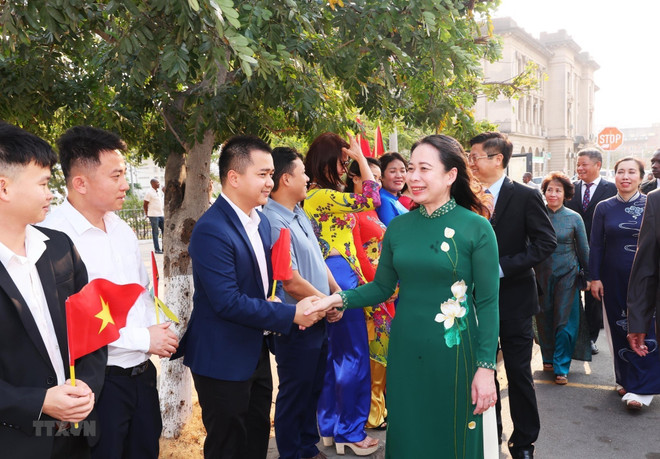 加强越南与莫桑比克和南非双边关系的新里程碑 ảnh 2 加强越南与莫桑比克和南非双边关系的新里程碑 ảnh 2
