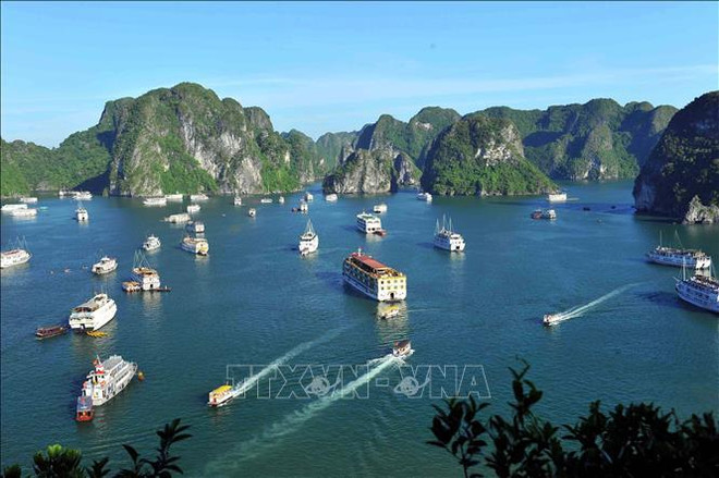 ☕️越通社新闻下午茶(2023.9.17) ảnh 4 ☕️越通社新闻下午茶(2023.9.17) ảnh 4