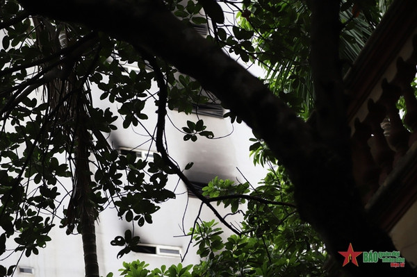 越共中央总书记阮富仲就河内市青春郡火灾事故致慰问信 ảnh 1