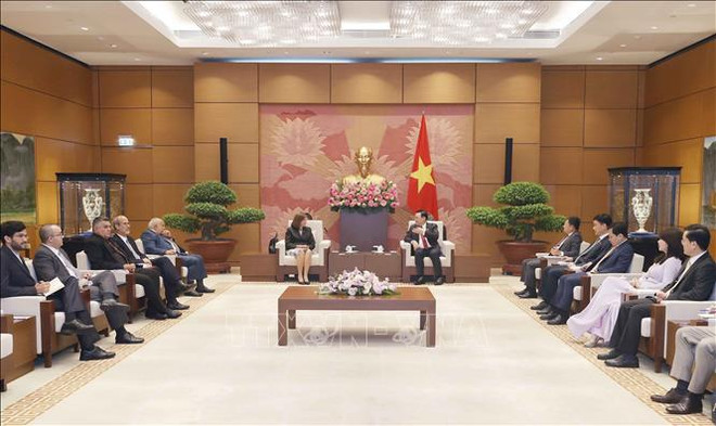 国会主席王廷惠会见古巴全国人民政权代表大会副主席 ảnh 2