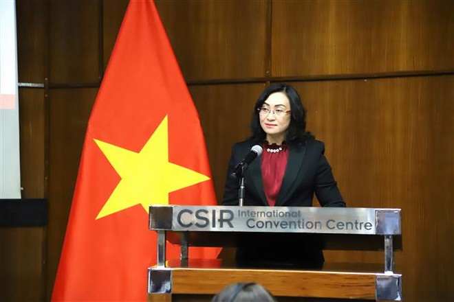 越南与南非建交30周年:经济合作潜力巨大 ảnh 1 越南与南非建交30周年:经济合作潜力巨大 ảnh 1