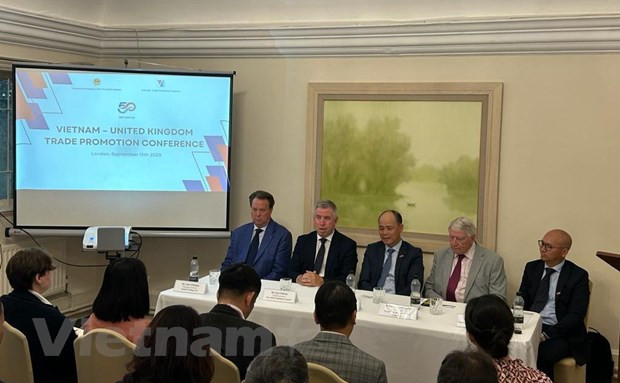 越英建交50周年:搭建两国文化、历史和未来的桥梁 ảnh 3 越英建交50周年:搭建两国文化、历史和未来的桥梁 ảnh 3