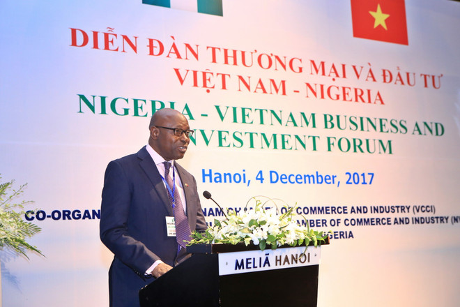 尼日利亚驻越大使:越尼多领域合作潜力巨大 ảnh 3 尼日利亚驻越大使:越尼多领域合作潜力巨大 ảnh 3