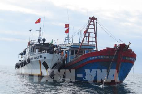 平顺省多错并举阻止渔船非法进入外国海域捕捞的情况 ảnh 1 平顺省多错并举阻止渔船非法进入外国海域捕捞的情况 ảnh 1