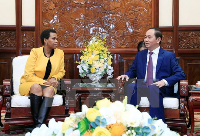 越南国家主席陈大光会见南非驻越大使 ảnh 1 越南国家主席陈大光会见南非驻越大使 ảnh 1