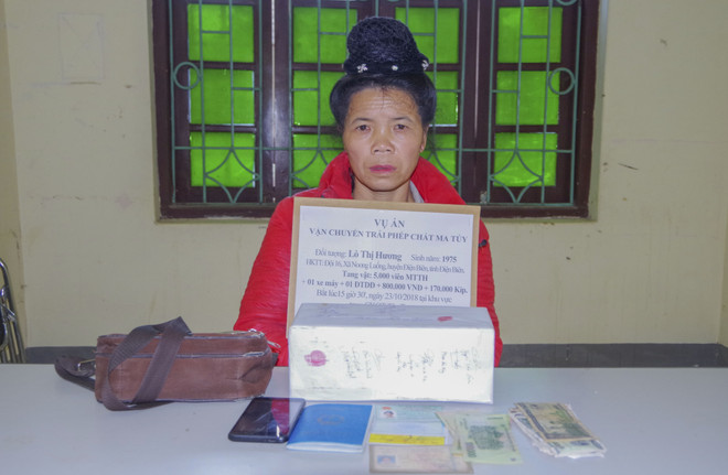 奠边省破获一起跨境运输5000块合成毒品案 ảnh 1