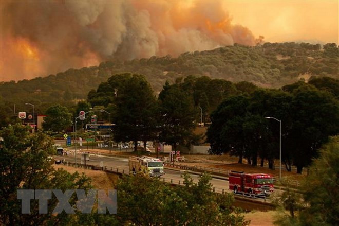 越南愿同世界各国携手应对气候变化 ảnh 1