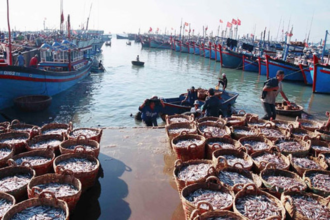 承天顺化省努力发挥水产品养殖和海产品捕捞的优势 ảnh 1 承天顺化省努力发挥水产品养殖和海产品捕捞的优势 ảnh 1