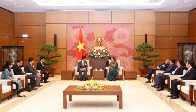越南国会常务副主席丛氏放会见日本医疗专家团 ảnh 1 越南国会常务副主席丛氏放会见日本医疗专家团 ảnh 1