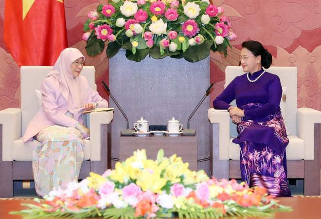 越南国会主席阮氏金银会见马来西亚副总理 ảnh 1 越南国会主席阮氏金银会见马来西亚副总理 ảnh 1