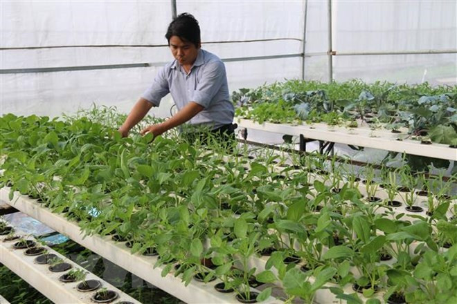 越南与印度明确促进两国贸易活动新引擎 ảnh 1 越南与印度明确促进两国贸易活动新引擎 ảnh 1