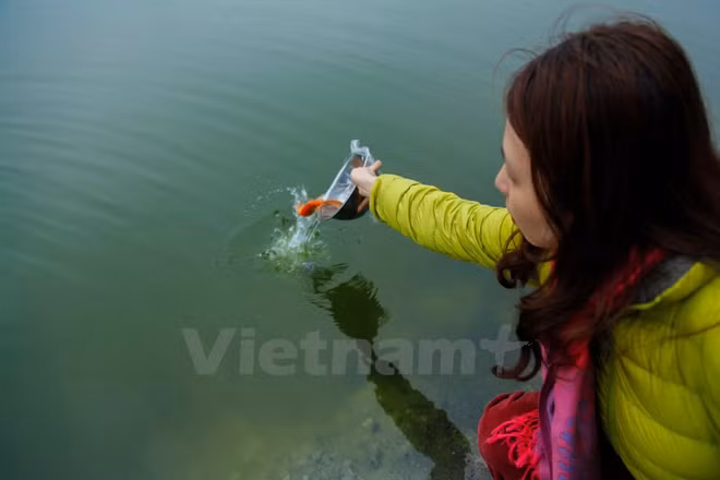 今日农历腊月二十三 越南人家家户户送灶神上天 ảnh 1