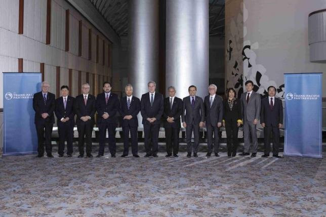 越南工商部部长武辉煌:采取适当措施 充分利用TPP优势 ảnh 2 越南工商部部长武辉煌:采取适当措施 充分利用TPP优势 ảnh 2