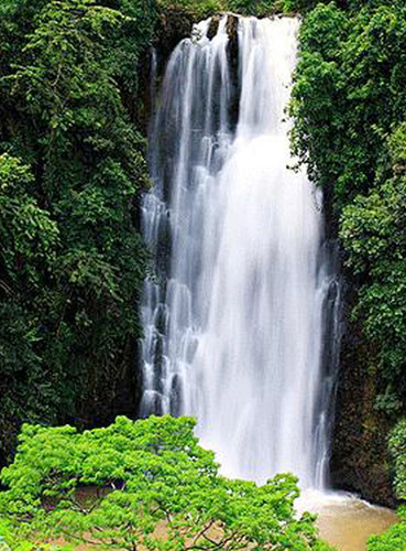 林同省雄浑壮丽的瀑布 ảnh 1 林同省雄浑壮丽的瀑布 ảnh 1