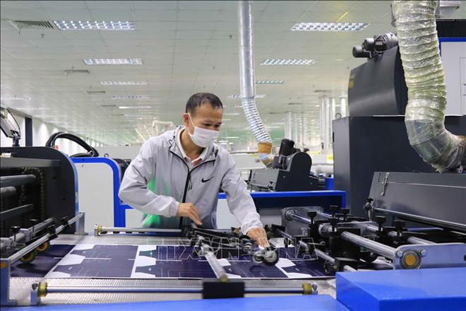 国际劳工组织驻越首席代表：越南正努力限制 新冠疫情的负面影响 ảnh 2