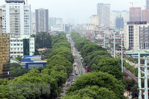新西兰驻越南大使:越新在经贸政策和包容性增长方面具有共同点 ảnh 4 新西兰驻越南大使:越新在经贸政策和包容性增长方面具有共同点 ảnh 4