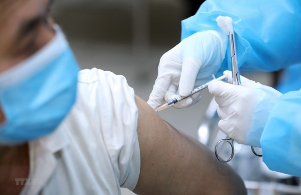 1月10日越南新增新冠肺炎确诊病例数略增 ảnh 1