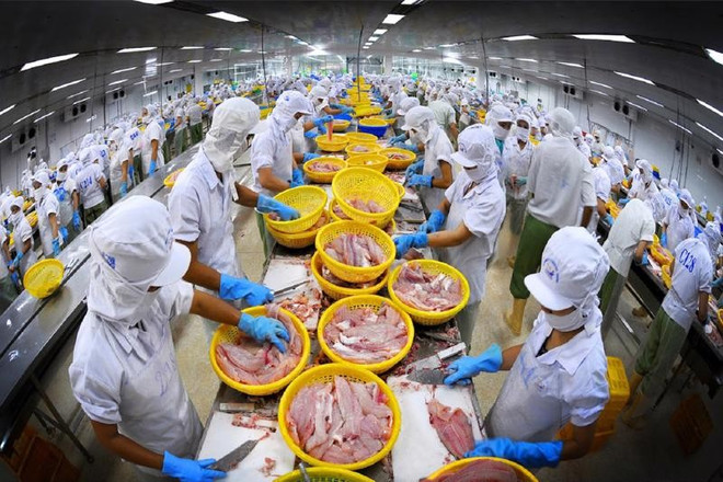 越南水海产品出口顺利到达终点 ảnh 1 越南水海产品出口顺利到达终点 ảnh 1